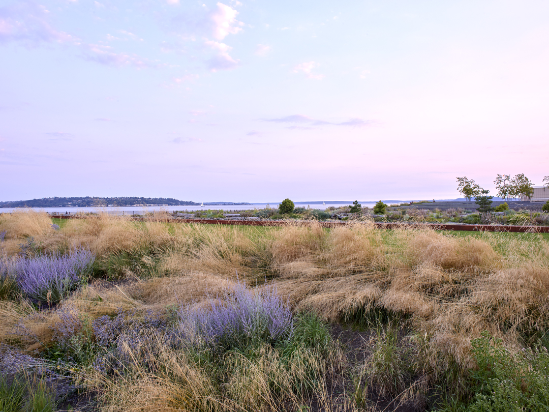 View across terraces meadow & beach